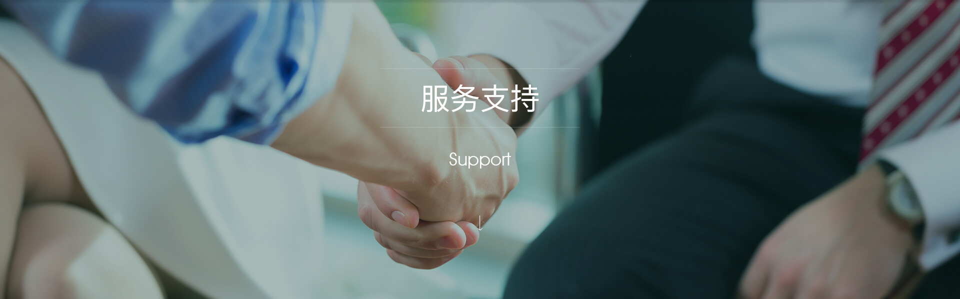 新聞資訊