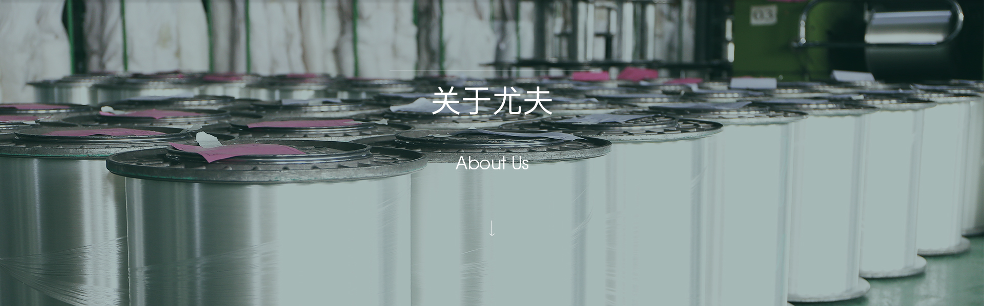 關(guān)于我們